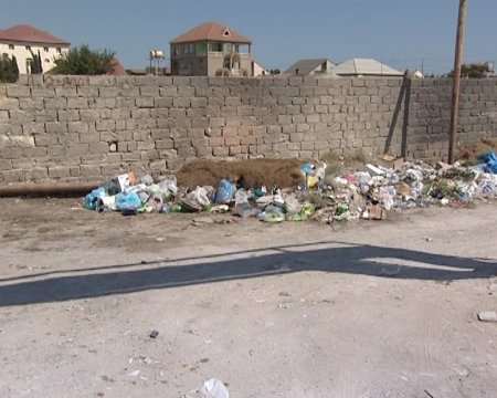 Bakıda çimərliklərin icarədarları məsuliyyətə cəlb olunublar