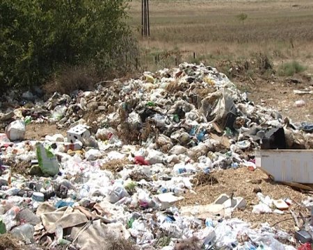 Bakıda çimərliklərin icarədarları məsuliyyətə cəlb olunublar