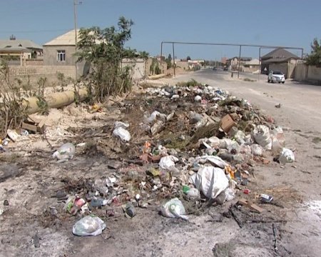 Bakıda çimərliklərin icarədarları məsuliyyətə cəlb olunublar