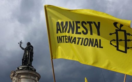 “Amnesty International” jurnalistin həbsi ilə bağlı bəyanat yaydı